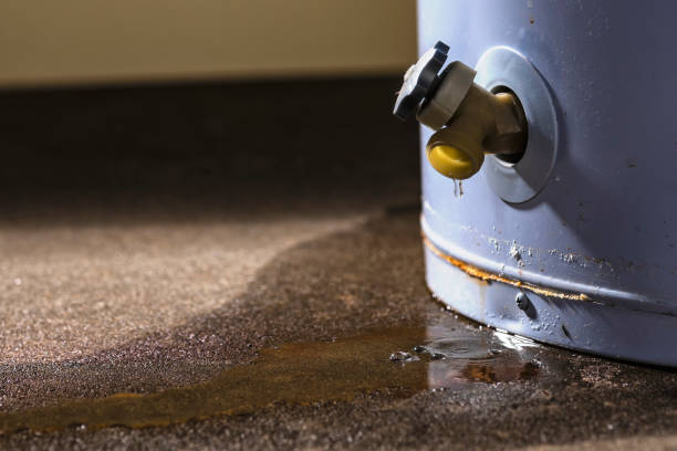 Best Water damage restoration mold remediation  in Lauderhill, FL
