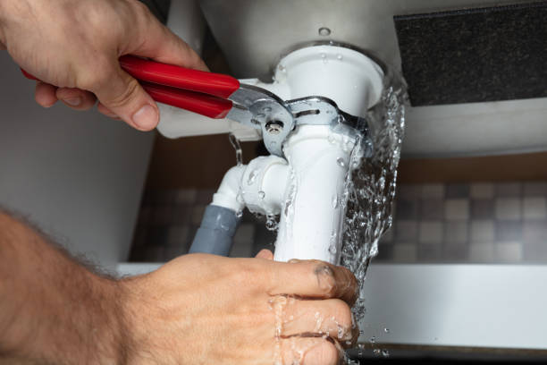 Best Carpet water damage restoration  in Lauderhill, FL