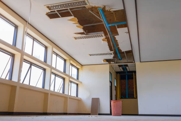 Best Water damage restoration process  in Lauderhill, FL