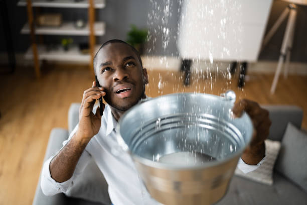 Best Carpet water damage restoration  in Lauderhill, FL