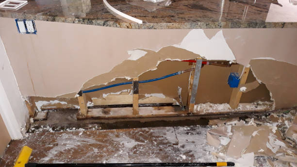 Best Ceiling water damage repair  in Lauderhill, FL