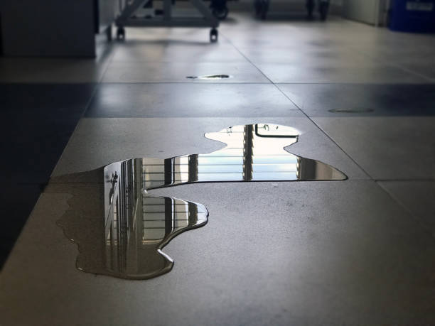 Best Professional water damage repair  in Lauderhill, FL