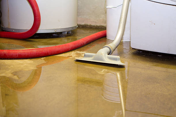 Best Mold removal after water damage  in Lauderhill, FL