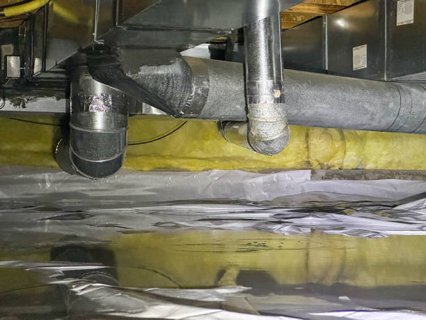 Best Sewage cleanup and water damage restoration  in Lauderhill, FL