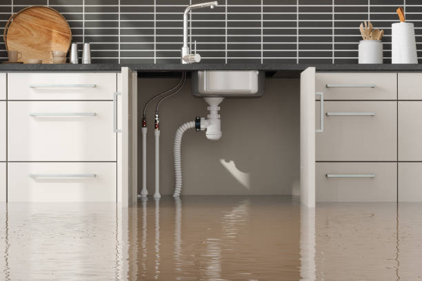 Best Water damage restoration company  in Lauderhill, FL