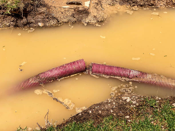  Lauderhill, FL Water damage restoration Pros