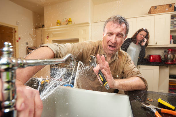 Best Fire Damage Restoration  in Lauderhill, FL